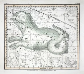 Stjärnbilderna (planka XXIII) Cetus, Officina Sculptoris, Machina Electrica, Fornax Chemica, från "A Celestial Atlas" av Alexander Jamieson, pub. London 1822 (handkolorerad gravyr)
